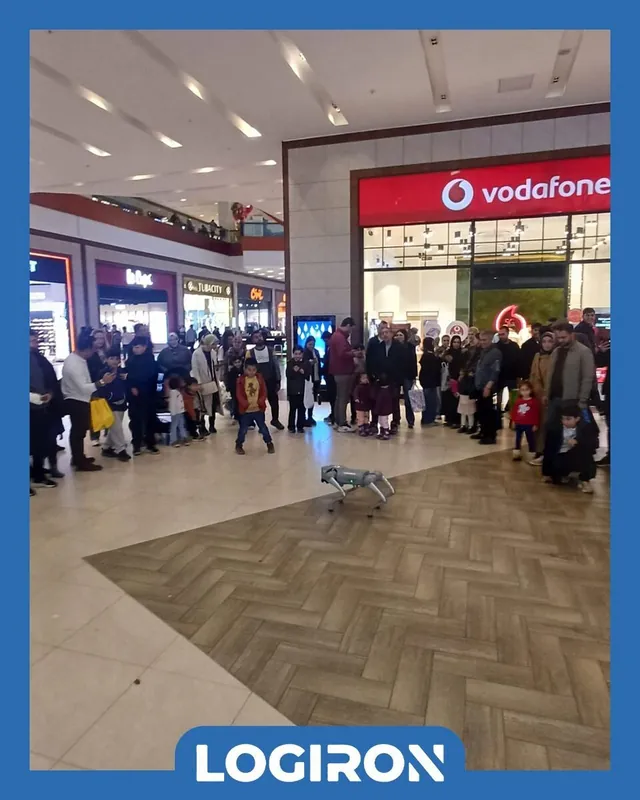 Vodafone Memnunbüs Diyarbakır - 3