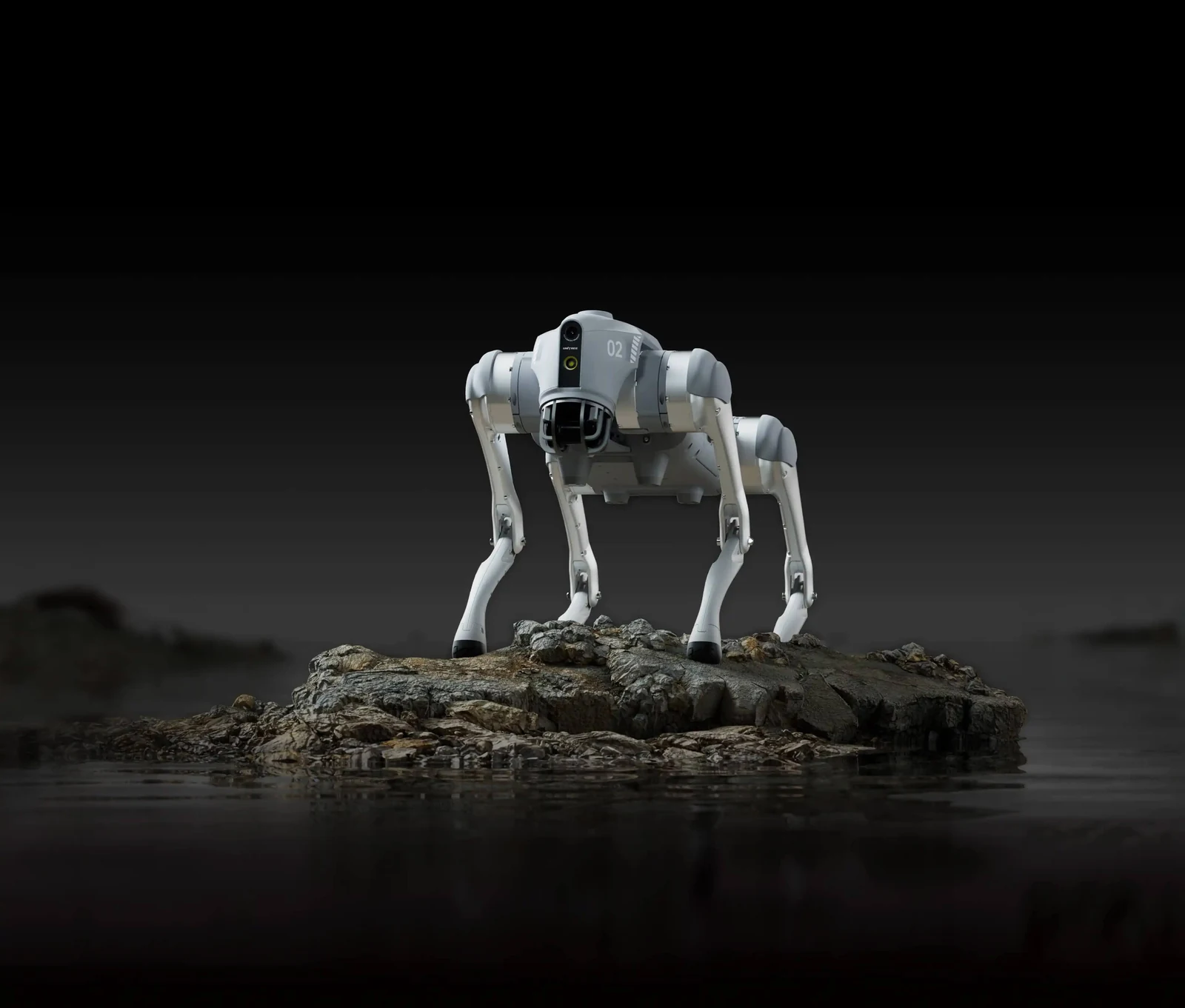 Unitree Go2 Robot Köpek